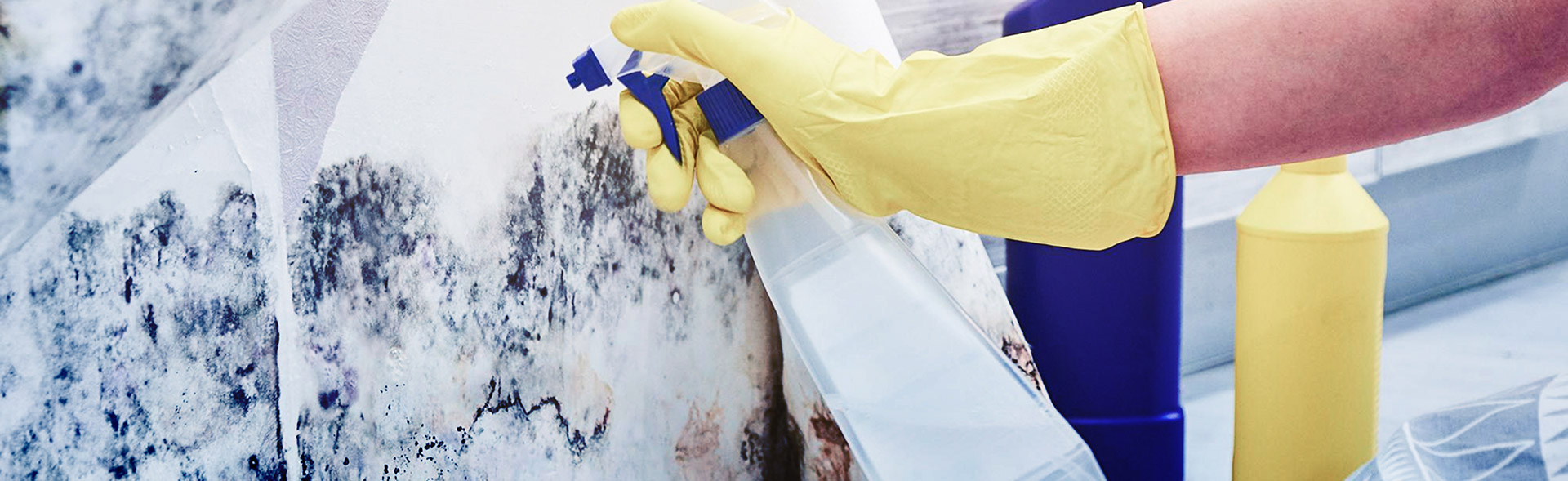 Header Bg 25 Header Bg 25