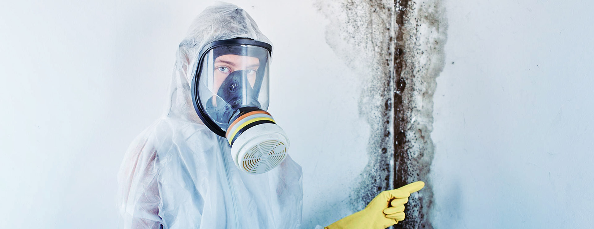 Wide Bg 25 Wide Bg 25